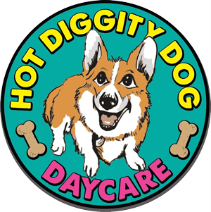 Dog Care Services, Doggy Day Care & Boarding